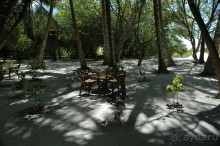 Заметки путешественника. Мальдивы.