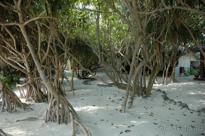 Заметки путешественника. Мальдивы.