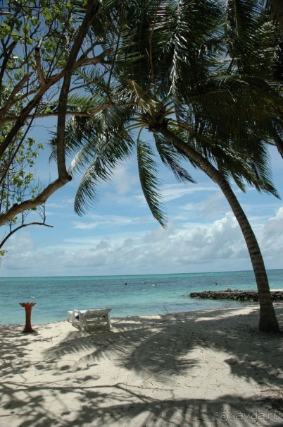 Заметки путешественника. Мальдивы.