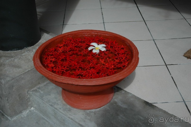 Заметки путешественника. Мальдивы.