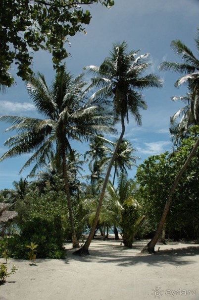 Заметки путешественника. Мальдивы.