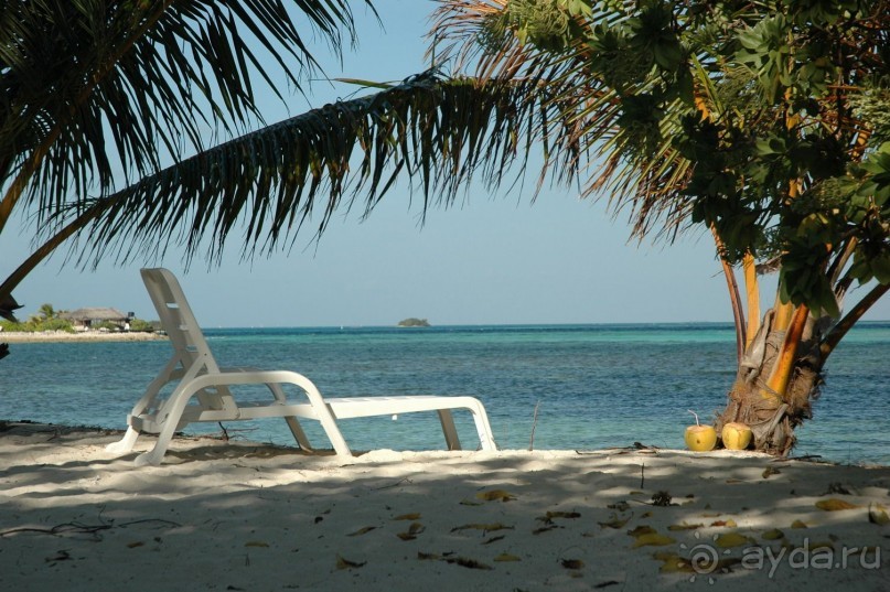 Заметки путешественника. Мальдивы.