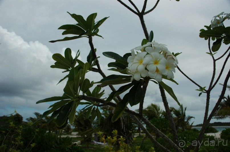 Заметки путешественника. Мальдивы.