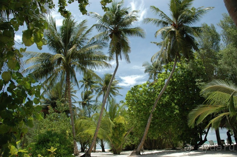 Заметки путешественника. Мальдивы.