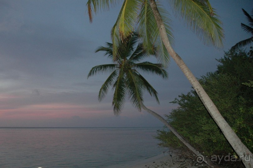 Заметки путешественника. Мальдивы.