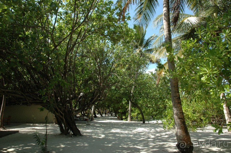 Заметки путешественника. Мальдивы.