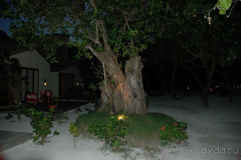 Заметки путешественника. Мальдивы.