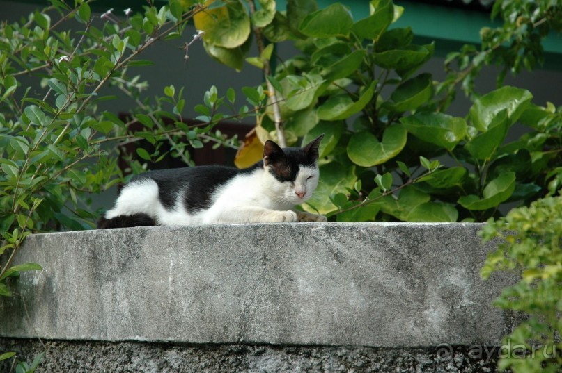 Заметки путешественника. Мальдивы.