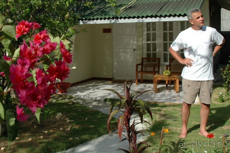 Заметки путешественника. Мальдивы.