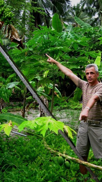 Заметки путешественника. Мальдивы.