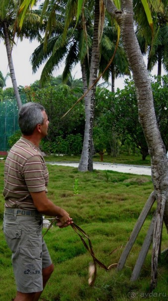Заметки путешественника. Мальдивы.