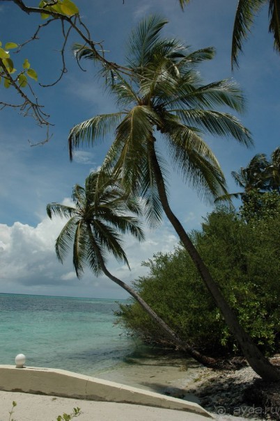 Заметки путешественника. Мальдивы.