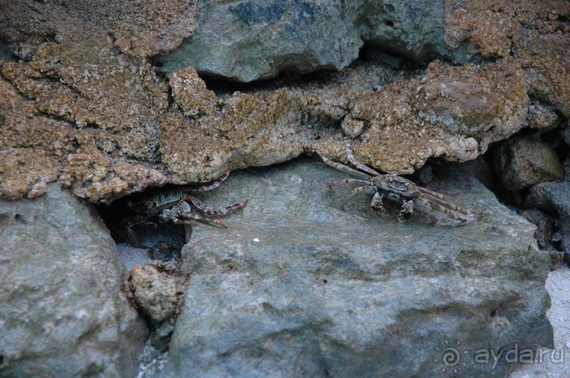 Заметки путешественника. Мальдивы.