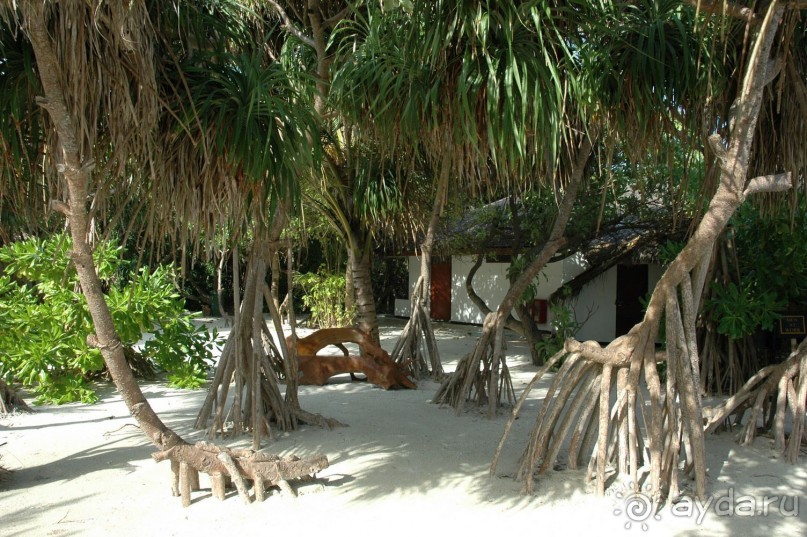 Заметки путешественника. Мальдивы.