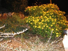 Хорватия - круиз.