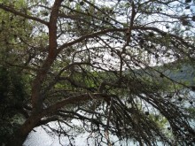 Хорватия - круиз.