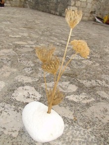 Хорватия - круиз.