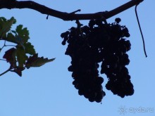 Хорватия - круиз.