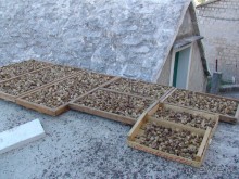 Хорватия - круиз.