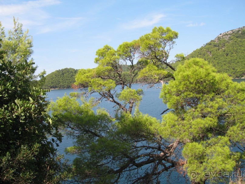 Хорватия - круиз.