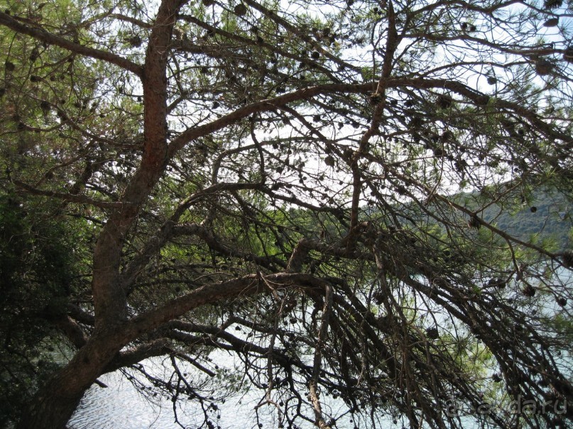 Хорватия - круиз.