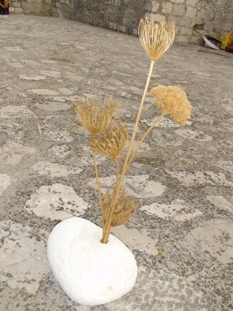 Хорватия - круиз.