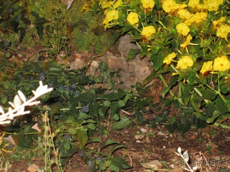 Хорватия - круиз.