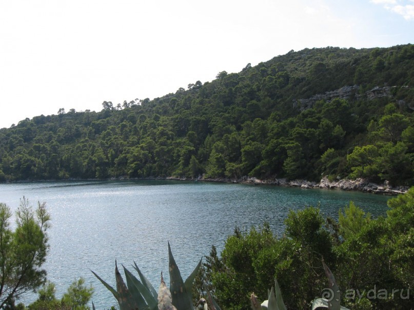 Хорватия - круиз.