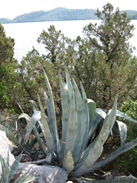 Хорватия - круиз.