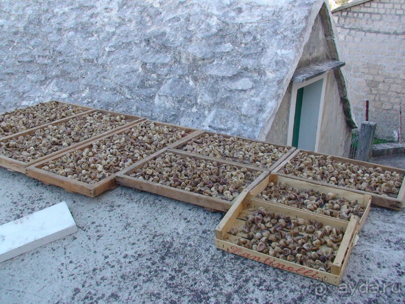 Хорватия - круиз.