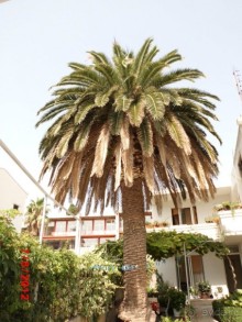 Черногория. Как оно было...