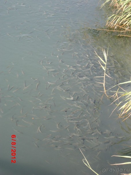 Черногория. Как оно было...