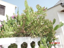 Черногория. Как оно было...