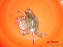 Черногория. Как оно было...