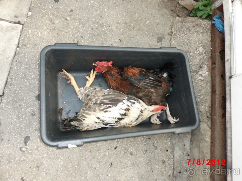 Черногория. Как оно было...