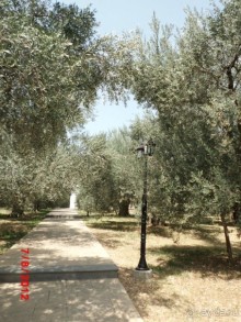 Черногория. Как оно было...