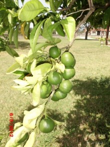 Черногория. Как оно было...