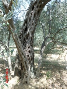 Черногория. Как оно было...