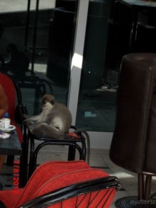 Черногория. Как оно было...