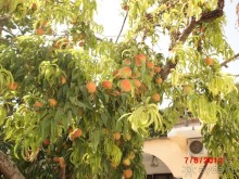 Черногория. Как оно было...