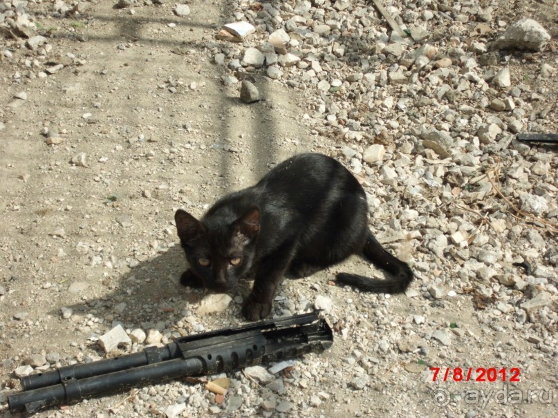 Черногория. Как оно было...