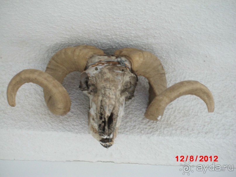 Черногория. Как оно было...