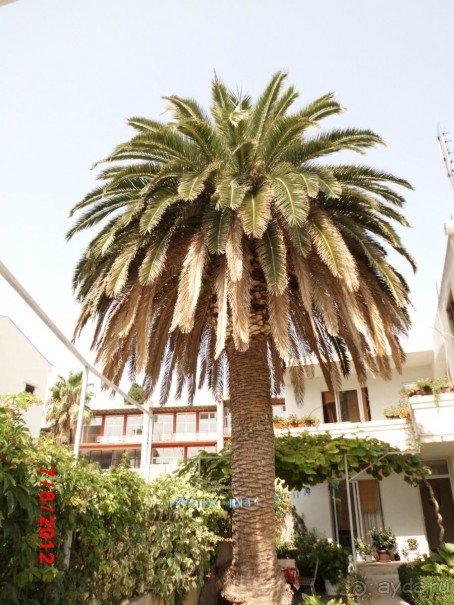 Черногория. Как оно было...