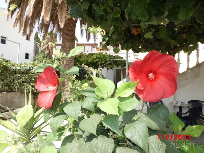 Черногория. Как оно было...