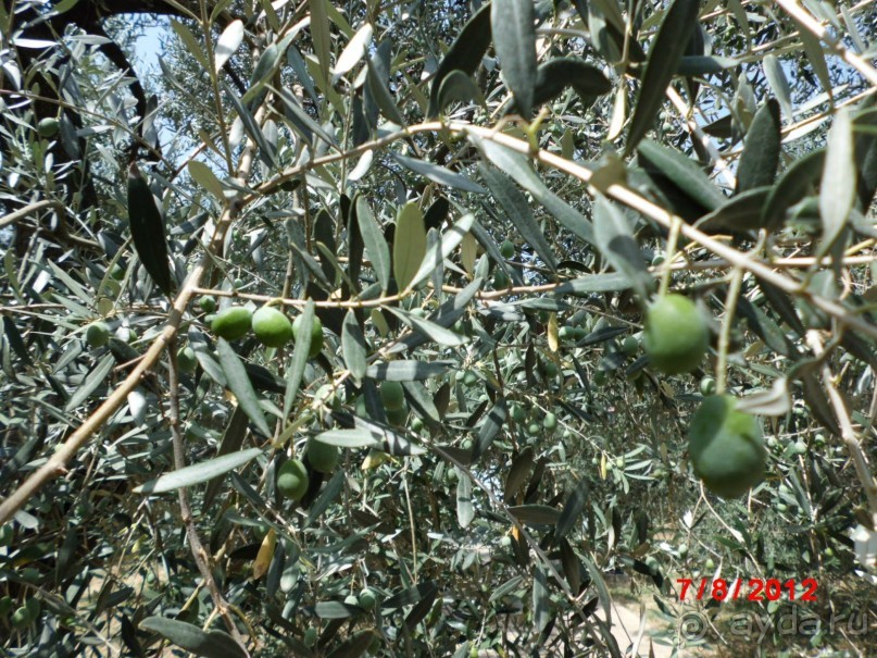 Черногория. Как оно было...