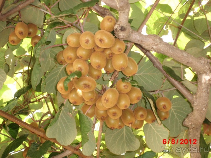 Черногория. Как оно было...