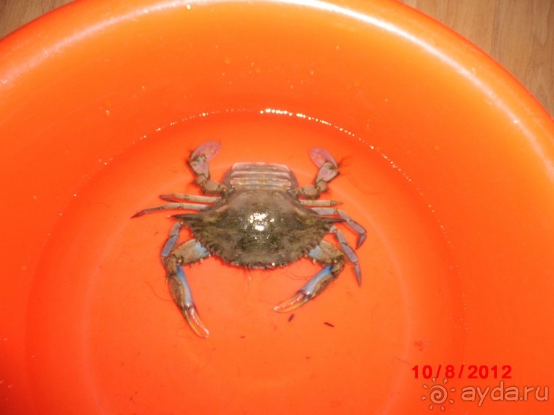 Черногория. Как оно было...