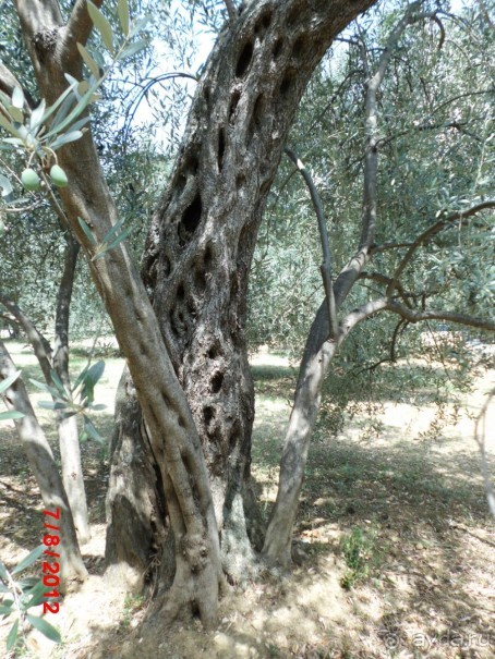 Черногория. Как оно было...