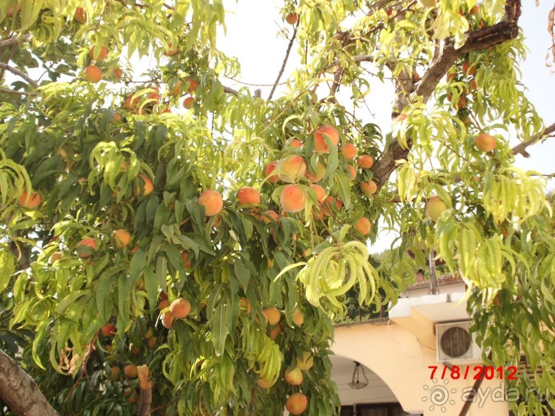 Черногория. Как оно было...