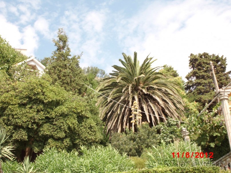 Черногория. Как оно было...